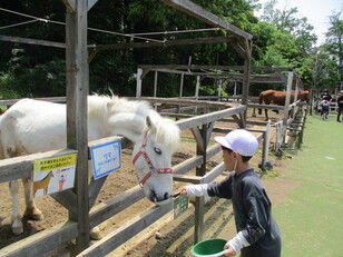 千葉市動物公園５