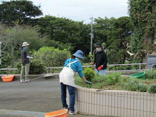 PTA除草作業１
