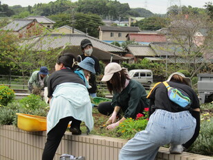 PTA除草作業２