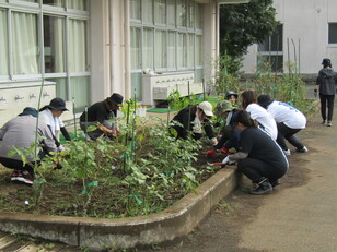 PTA除草作業５