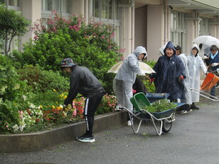 除草作業・自由参観6