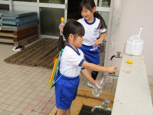 アサガオの追肥7