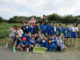 枝豆収穫体験10