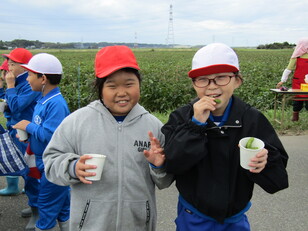 枝豆収穫体験８