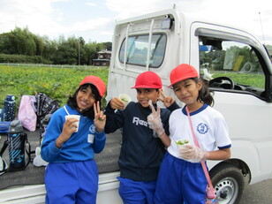 枝豆収穫体験９