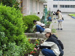 除草作業・再資源化物回収１