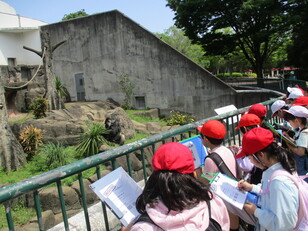 千葉市動物公園１