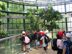 千葉市動物公園２