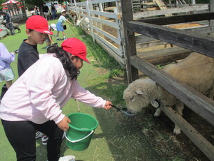 千葉市動物公園３