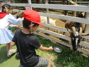 千葉市動物公園４