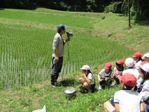 サシバ見学5