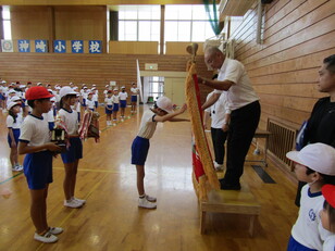 5