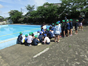 水泳学習1