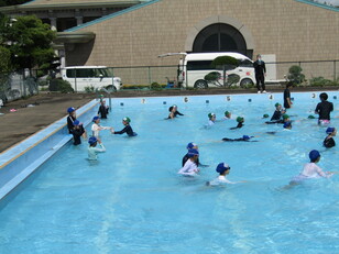 水泳学習2