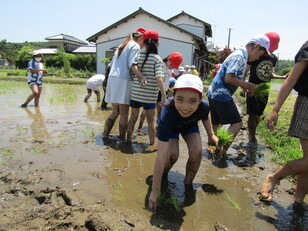 田植え体験7