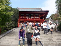 鶴岡八幡宮