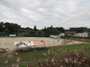 朝の風景