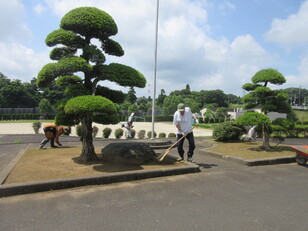 草刈り
