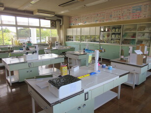 夏学展
