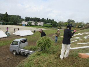 奉仕活動