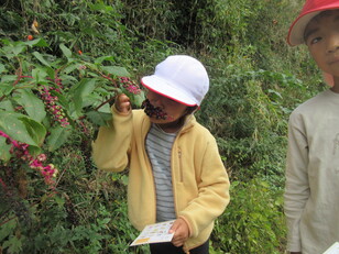 いいにおいするかな