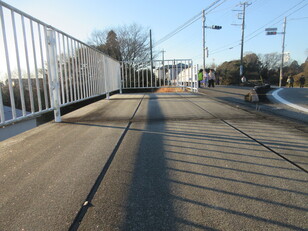 霜のおりた道路