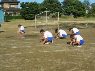 7