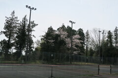 町民テニスコート照明設備の写真